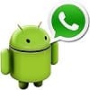 whatsapp para android